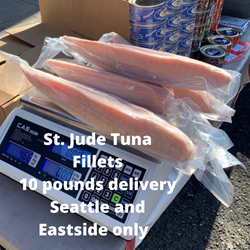SASHIMI GRADE FILLETS / STEAK   175.00  fillets, sushi, st. jude tuna, Seattle, fish, loins,tuna fillets